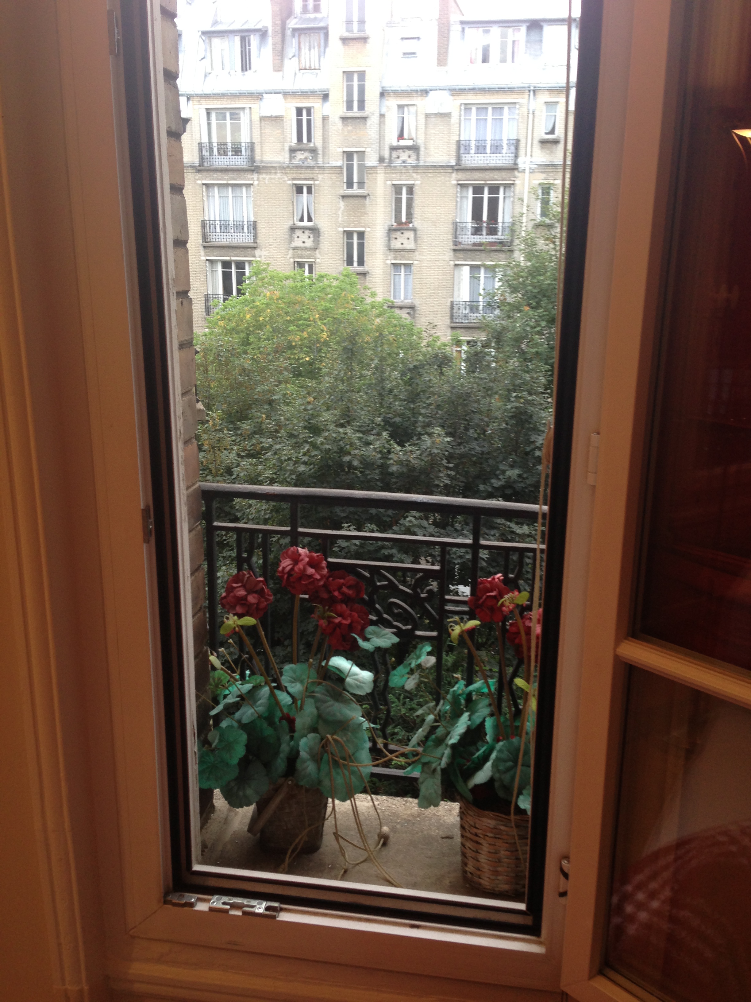 Window Paris