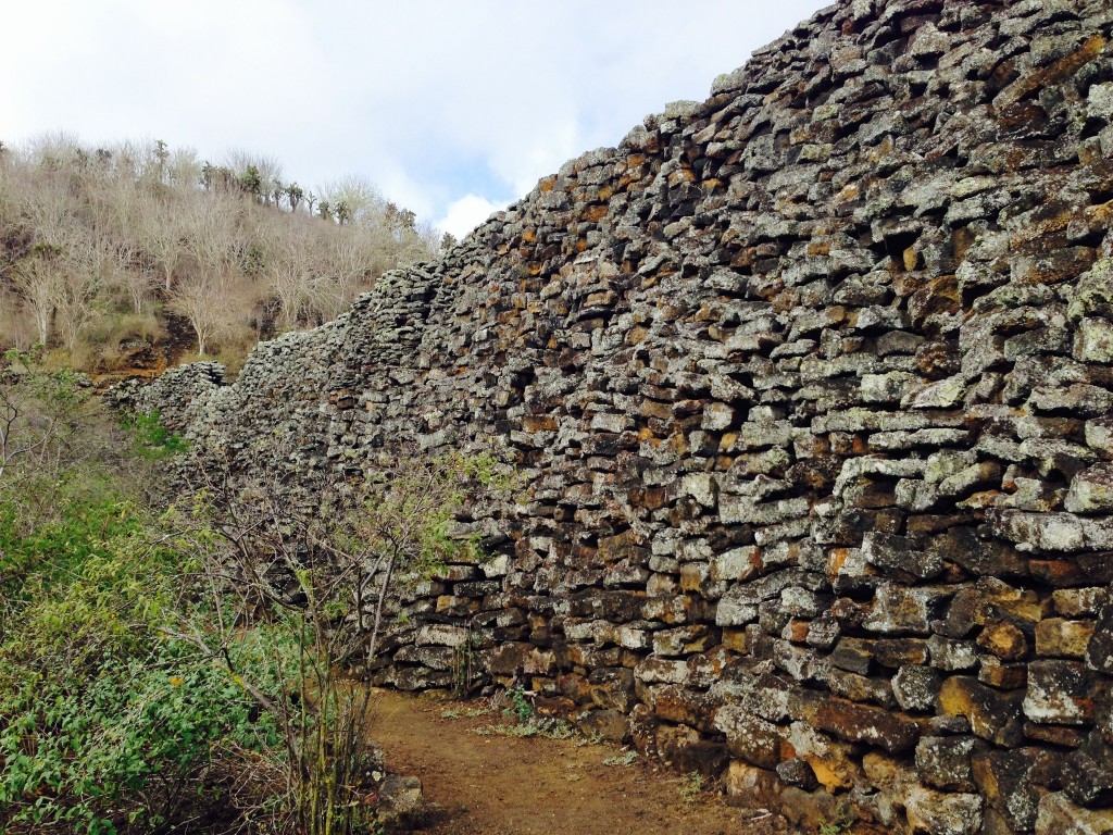 galapagos-day3-walloftears