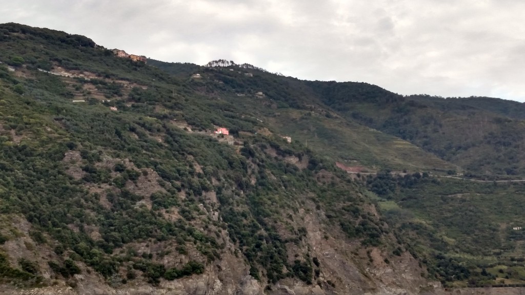 cinque terre bar