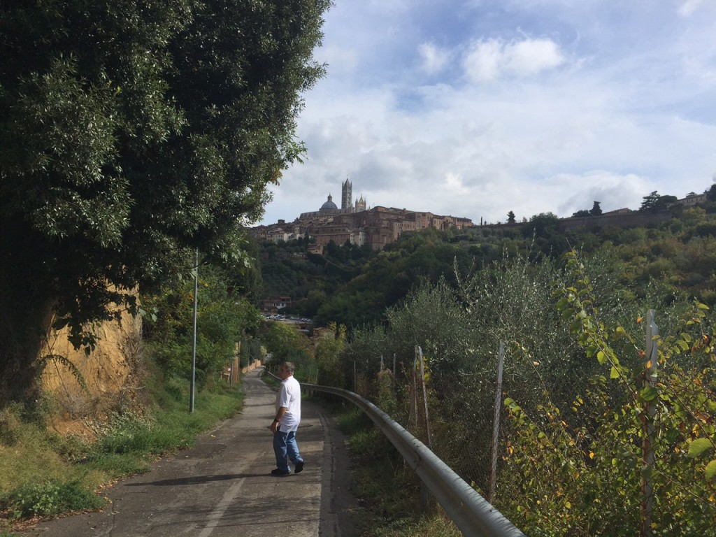 Siena duomo walk